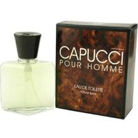 Roberto Capucci Pour Homme Men Edt 100ML