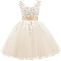 Flower Girl Dress Floor Length Button Draped Tulle Ball Gowns for Kid Lightinthebox