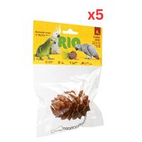 RIO Cedar Cone Treat-Toy For Birds (Pack Of 5)