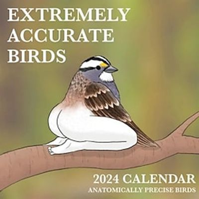 Calendar Of Extremely Accurate Birds 2024,Fuuny Wall Calendar New Year Gift for Your Friends miniinthebox