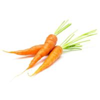 Fit Fresh Baby Carrot Pkt 200 G