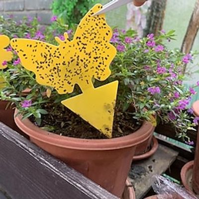 20PCS Fruit Fly Sticky Traps Insect Paper Kitchen Small Insect Trap Stickers Yellow Glue Sticky Fly catcher miniinthebox