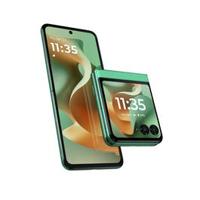 Motorola Razr 60 8GB 5G Smartphone, PANTONE Spring Bud, 256 GB