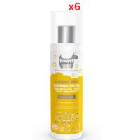 Hownd Banana Facial and Natural Tear Stain Treatment (Pack of 6)