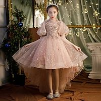 Girls' A Line Dress Half Sleeve Sequin 3D Printed Graphic Dresses Elegant Princess Polyester Dress Fall Winter Kids Performance Wedding Regular Fit miniinthebox - thumbnail