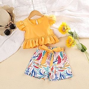 2 Pieces Kids Girls' Graphic Shorts Suit Set Short Sleeve Fashion Outdoor 3-7 Years Summer Yellow Lightinthebox