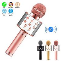 Professional Wireless karaoke Microphone Speaker Condenser Microfono with Bag Bluetooth Radio Studio Record Mic miniinthebox - thumbnail