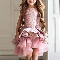 Princess Knee Length Flower Girl Dresses Party Polyester  Cotton Blend Sleeveless Jewel Neck with Lace 2022 Lightinthebox - thumbnail