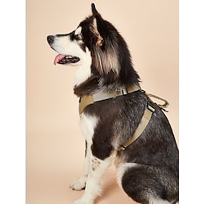 Dog Harness dog Cat Harness Vest Adjustable Flexible Escape Proof Safety Safety Sports Adjustable Running Walking Solid Colored Polyester Small Dog Medium Dog Large Dog Orange 1PC Lightinthebox