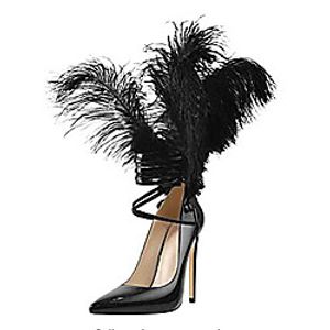 Women's Heels Stiletto Heel Pointed Toe Party Daily Patent Leather Feather Bowknot Lace-up Solid Colored Black Lightinthebox