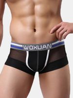 Mesh Transparent Boxer Brief