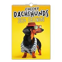 2024 Wall Calendar Funny Dog Album Cover Poster Calendar Wall Calendar Home Office Hanging Calendar Monthly Planner Lightinthebox - thumbnail