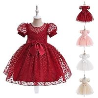 Kids Girls' Party Dress Solid Color Flower Short Sleeve Performance Birthday Mesh Zipper Tie Knot Adorable Princess Polyester Cotton Blend Knee-length Party Dress Summer Spring Fall 3-10 Years White Lightinthebox - thumbnail