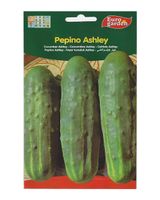 Euro Garden Cucumber Ashley Euro Garden Cucumber Ashley