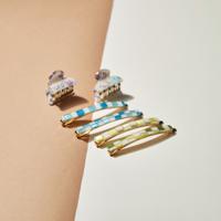 Assorted 6-Piece Hair Clamp and Pin Set