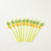 Findz Pineapple Accent Straw Set