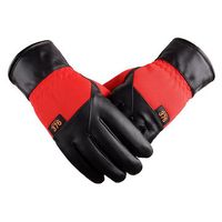 Windproof Warm Thick Gloves