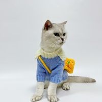 Pet Autumn And Winter Carrot Cross Bag Cute Clothes Bixiong Dog Teddy BaoWarm Sweater Lightinthebox - thumbnail