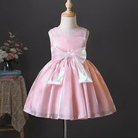 Kids Little Girls' Dress Solid Colored Skater Dress Party Daily Bow Pink Knee-length Sleeveless Princess Cute Dresses Spring Summer Slim 2-8 Years Lightinthebox - thumbnail