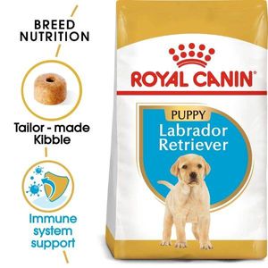 Royal Canin Breed Health Nutrition Labrador Puppy 12 Kg Dog Food