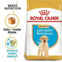 Royal Canin Breed Health Nutrition Labrador Puppy 12 Kg Dog Food - thumbnail