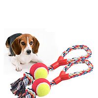 Pet Molar Bite Toy Rodents Dog Cat Pet Training Plush Gift Pet Toy Pet Play miniinthebox Pet Molar Bite Toy Rodents Dog Cat Pet Training Plush Gift Pet Toy Pet Play miniinthebox