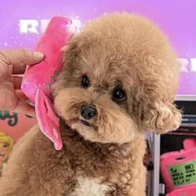 1pc Mobile Phone Design Pet Grinding Teeth Squeaky Plush Toy Durable Chew Toy For Dog Interactive Supply Lightinthebox 1pc Mobile Phone Design Pet Grinding Teeth Squeaky Plush Toy Durable Chew Toy For Dog Interactive Supply Lightinthebox