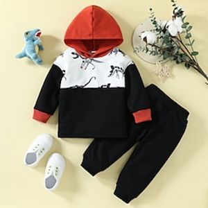 2 Pieces Boys Hoodie  Pants Outfit Animal Dinosaur Long Sleeve Cotton Set School Cool Daily Winter Fall 3-7 Years Black Lightinthebox