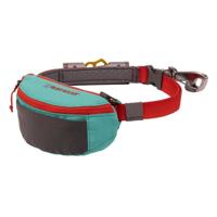 Ruffwear Hitch Hiker Dog Portable Hitch & Leash Combo - Aurora Teal