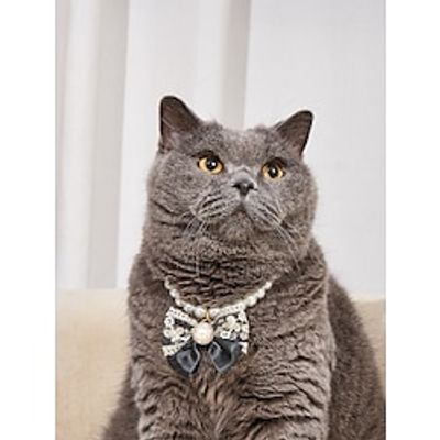 1 piece of pet pearl necklace lace butterfly necklace cat and dog pearl collar pet accessory suitable for indoor and outdoor decoration of cats and dogs Lightinthebox