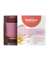 Bolsius True Scents Magnolia Candle in Glass Scented Large Bolsius True Scents Magnolia Candle in Glass Scented Large