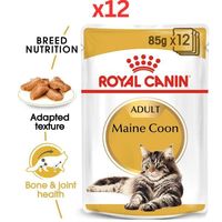 Royal Canin Feline Breed Nutrition Maine Coon Wet Cat Food Pouches