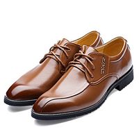 Men Pointed Toe Dress Shoes