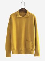 Brief Solid Color Turn-down Collar Women Sweaters