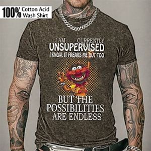 Men's T shirt Tee Graphic Tee 100% Cotton Acid Wash Shirt Cartoon Graphic Prints Crew Neck Hot Stamping Street Vacation Short Sleeves Print Clothing Apparel Basic Designer Modern Contemporary Lightinthebox
