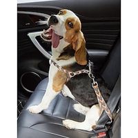 Dog Cat Training Leash Portable Escape Proof Safety Safety Outdoor Heart Fruit Stripes Polyester Small Dog Medium Dog Large Dog Multicolor Pink Blue Green 1PC Lightinthebox - thumbnail