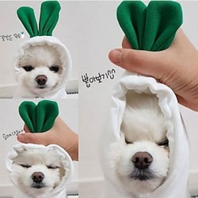 New Pet Clothing Autumn and Winter Dog Teddy Cat Plush Hat Sweater Pet Supplies White Radish Lightinthebox