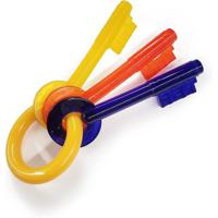 Nylabone Puppy Teething Keys S