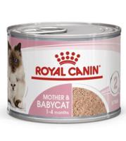 Royal Canin Feline Health Nutrition Mother & Baby Cat Mousse Wet Food - Cans