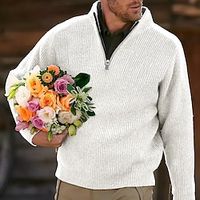 Men's Sweater Pullover Sweater Jumper Turtleneck Sweater Knit Zipper Solid Color Turtleneck Casual Outdoor Daily Clothing Apparel Winter Black Royal Blue S M L miniinthebox - thumbnail