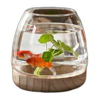 Perfect Clear Glass Round Shaped Fish Tank With Wooden Base -9x12.5cm