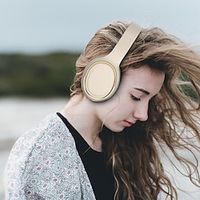 Headphones V5.0 Bluetooth Headphones Wireless On-Ear Professional Stereo WirelessWired Headset for Phones PC miniinthebox - thumbnail