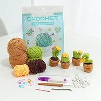 Beginner Crochet Kit for Adults,4pcsset Beginner Crochet Learn to Crochet Kit,Crochet Kits, Succulent Plants Crochet Set, Knitting Kit for Beginners Lightinthebox - thumbnail