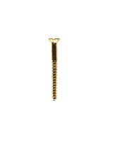 Homesmiths B.P Wood Screw 2 X10 mm