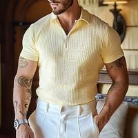 Men's Polo Shirt Golf Shirt Work Casual Quarter Zip Ribbed Polo Collar Short Sleeve Basic Modern Solid Color Zipper Spring Summer Regular Fit Light Yellow Polo Shirt Lightinthebox