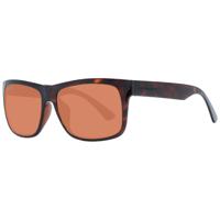 Serengeti Brown Unisex Sunglasses - SE-1044988