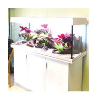 Aqua One Aquavogue 245 Aquarium Set 245L 120Wx45Dx55Cm White Only Aquarium - Cabinet Sold Separately - thumbnail