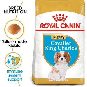 Royal Canin Breed Health Nutrition Cavalier King Charles Puppy 1.5 Kg