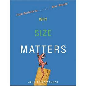 Why Size Matters: From Bacteria To Blue Whales
