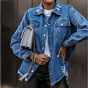 Women's Jacket Sport Fall Winter Regular Coat Regular Fit Warm Sporty Casual Jacket Long Sleeve Solid Color Quilted Blue Light Blue Lightinthebox